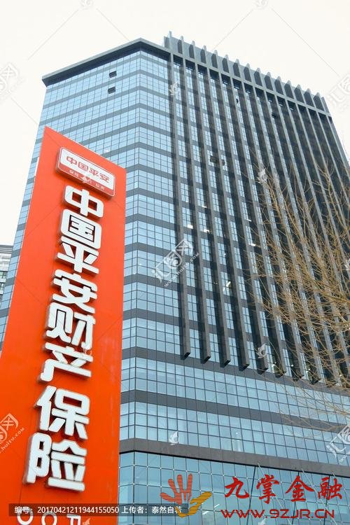 平安财险万宁支公司:车险价格与理赔全解析